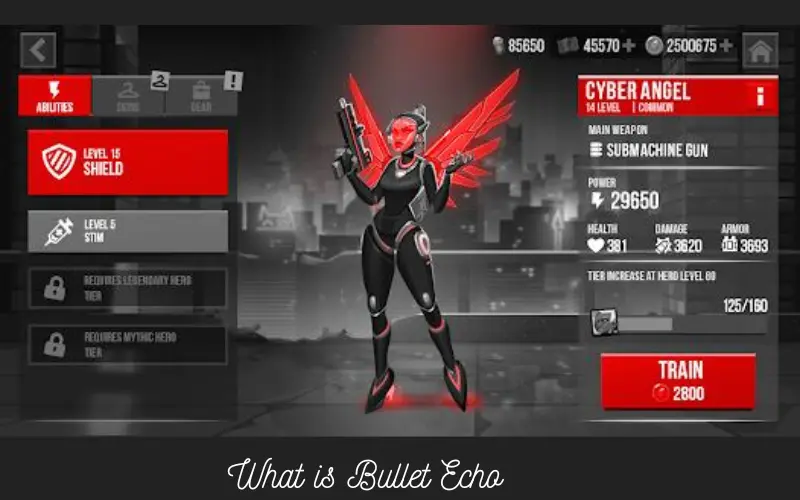 What is Bullet Echo